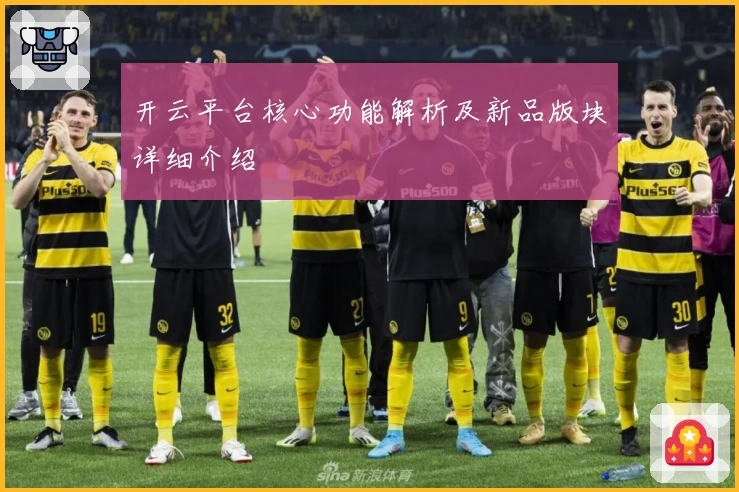 开云平台核心功能解析及新品版块详细介绍