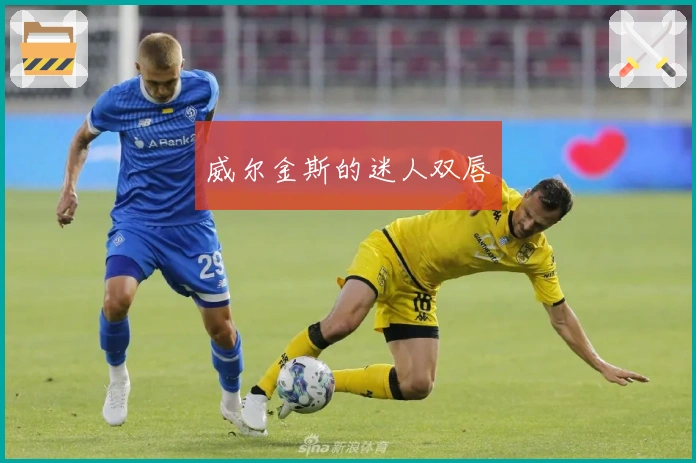 威尔金斯的迷人双唇